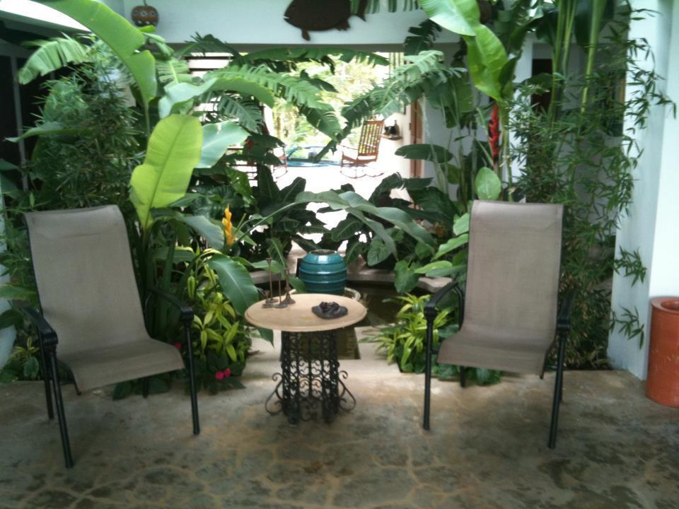 El Hotelito At The Rainforest Experience Farm Фахардо Экстерьер фото