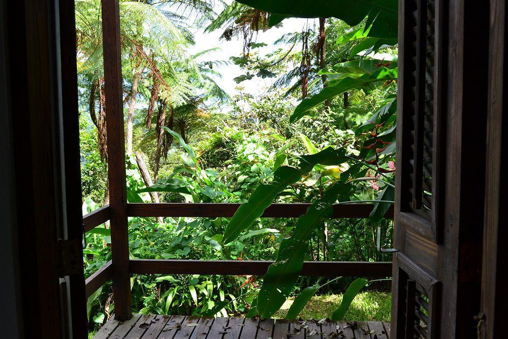 El Hotelito At The Rainforest Experience Farm Фахардо Экстерьер фото