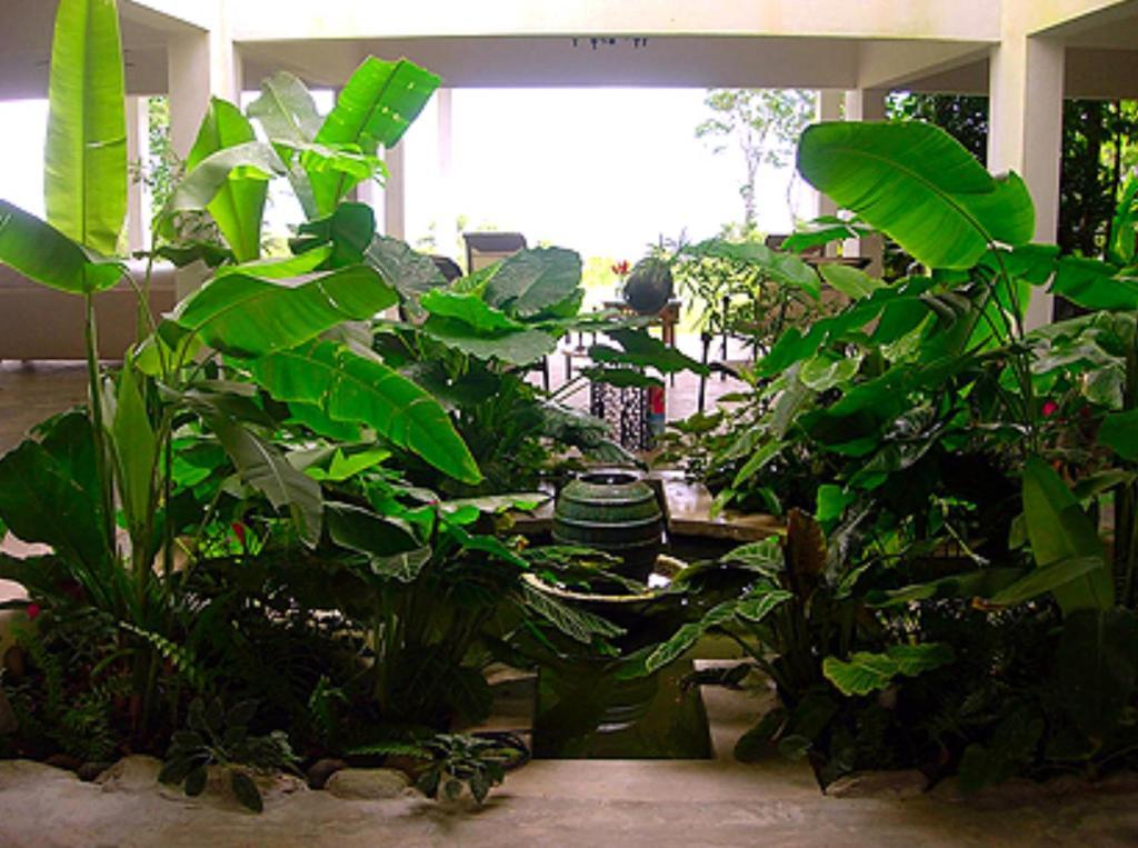 El Hotelito At The Rainforest Experience Farm Фахардо Экстерьер фото