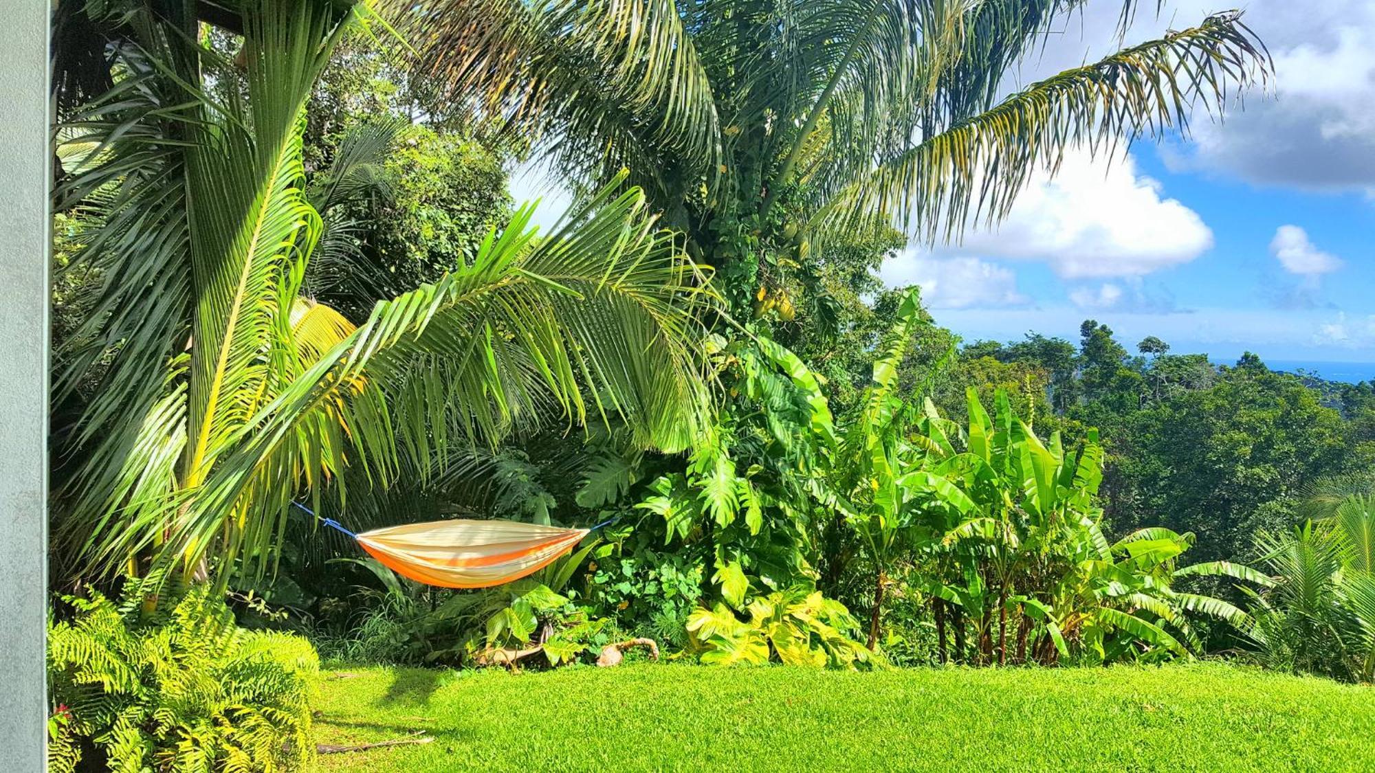 El Hotelito At The Rainforest Experience Farm Фахардо Экстерьер фото
