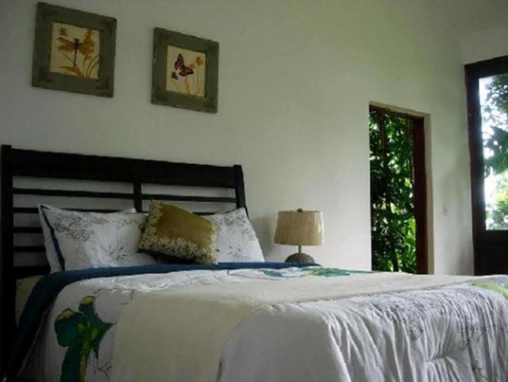 El Hotelito At The Rainforest Experience Farm Фахардо Экстерьер фото